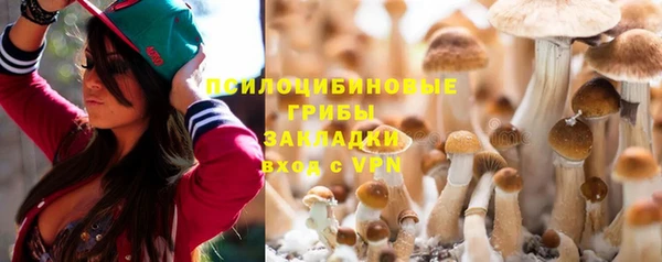 a pvp Пестово