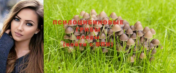 a pvp Пестово